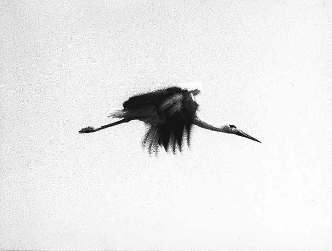 Jochen Lempert