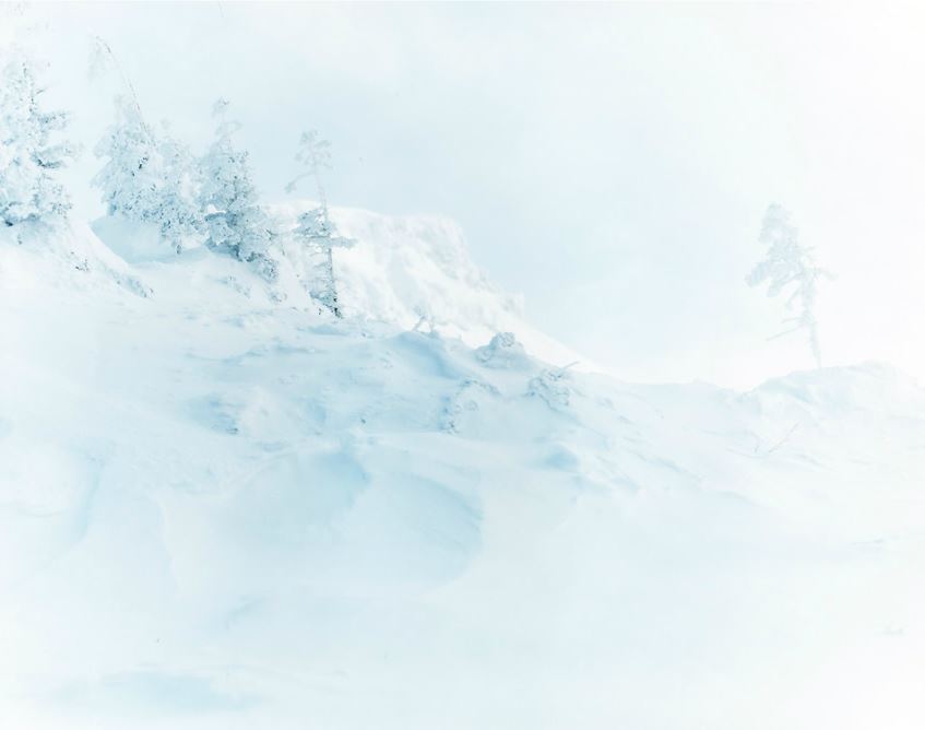 Risaku Suzuki
