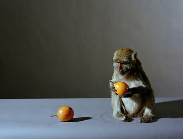 © Olivier Richon