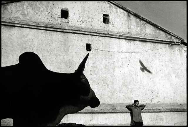 © Swapan Parekh © Swapan Parekh