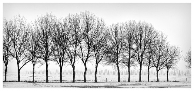 © Chuck Kimmerle © Chuck Kimmerle