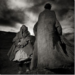 © Mi Zhou © Mi Zhou