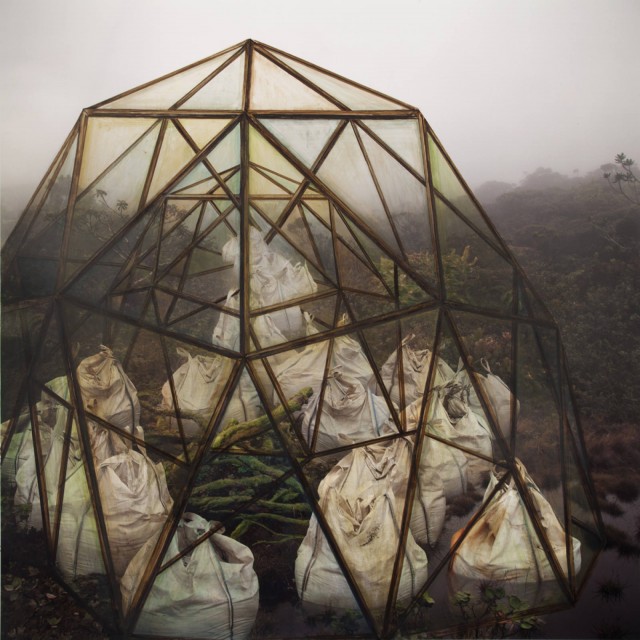 Terrarium © Anthony Goicolea Terrarium © Anthony Goicolea