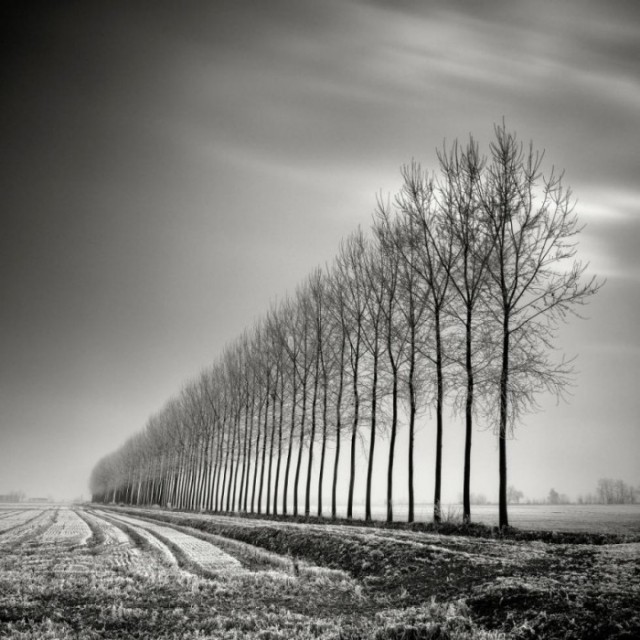 © Pierre Pellegrini © Pierre Pellegrini