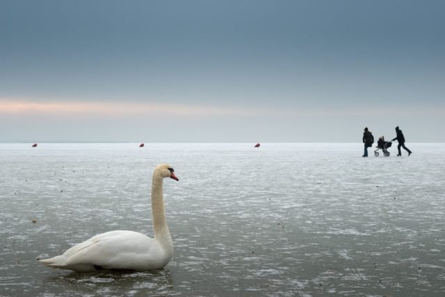 © Robert Rutöd © Robert Rutöd