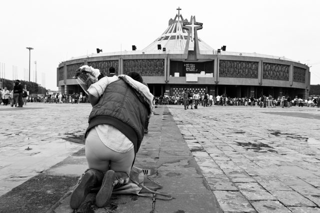 © Federico Alegría