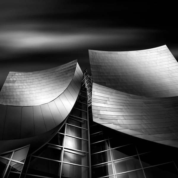 © Tony DeSantis © Tony DeSantis