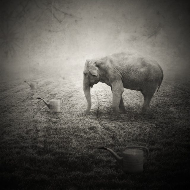 © Krzysztof Wladyka © Krzysztof Wladyka