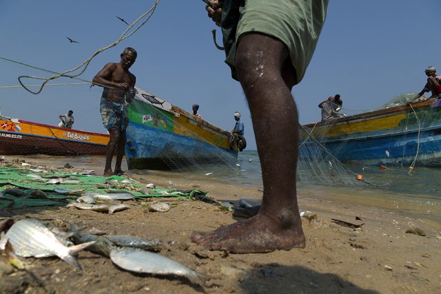 Fishermen coming back from a day at sea in Pamban © Claude Renault Fishermen coming back from a day at sea in Pamban © Claude Renault