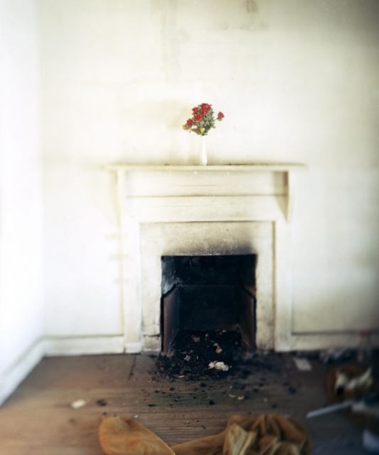Trophy, Claxton GA © Joanna Knox Trophy, Claxton GA © Joanna Knox
