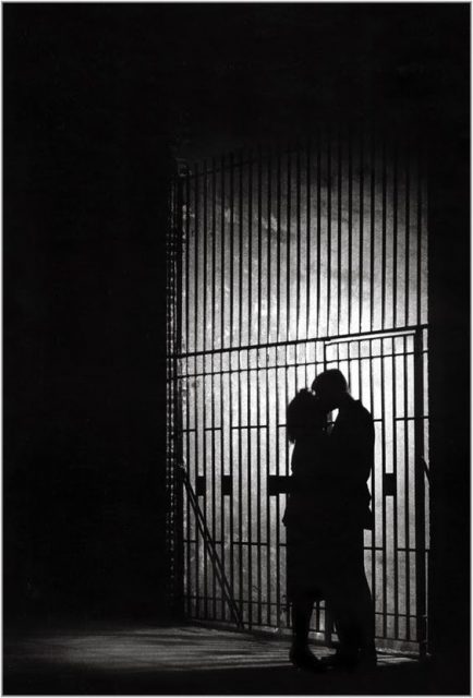 Matt Weber
