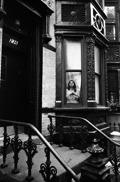 © Erica McDonald © Erica McDonald