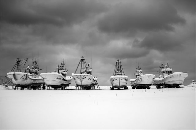 © Giulio Zanni