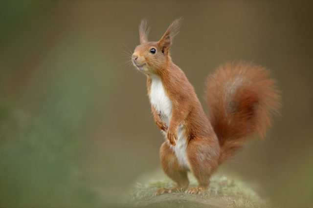 © Edwin Kats © Edwin Kats
