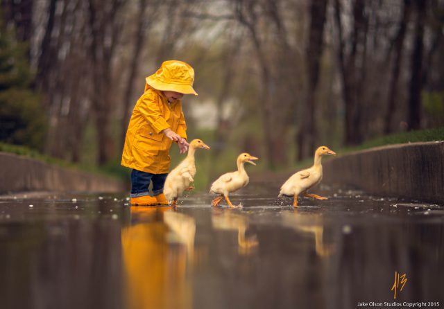 © Jake Olson Studios © Jake Olson Studios