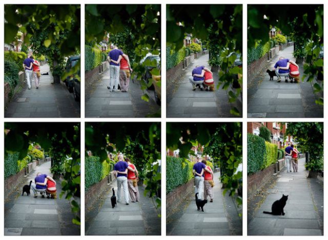 © Nils Jorgensen © Nils Jorgensen