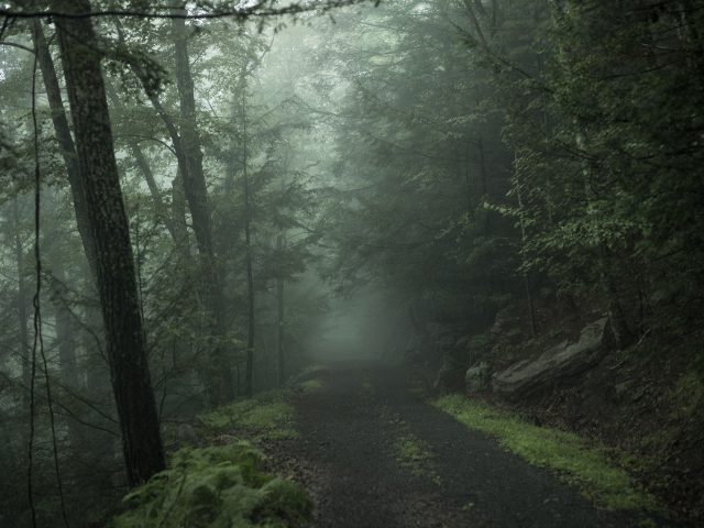 © Noah Kalina