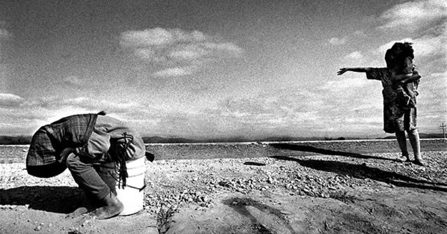 © Jerónimo Arteaga-Silva © Jerónimo Arteaga-Silva