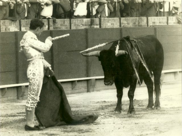 © Juan José Serrano