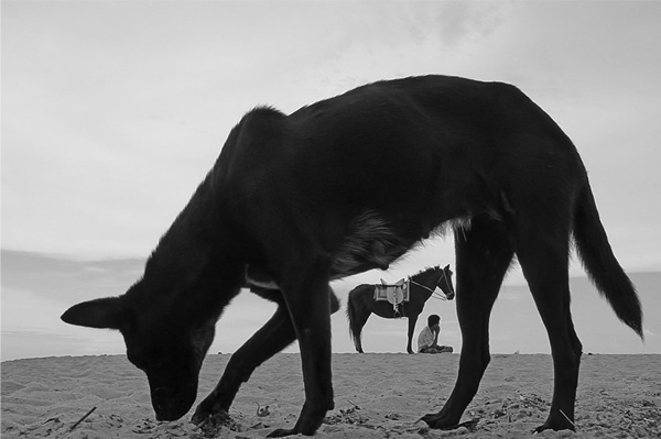 © Prashant Godbole