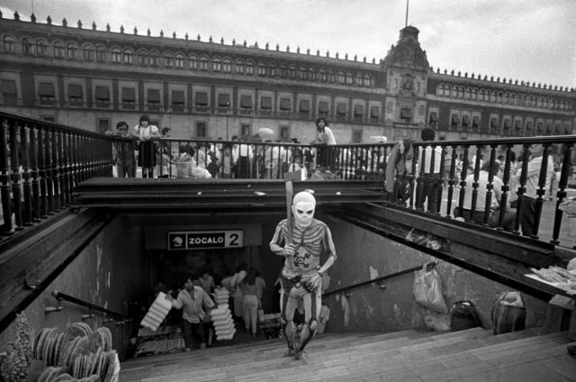 © Francisco Mata Rosas © Francisco Mata Rosas