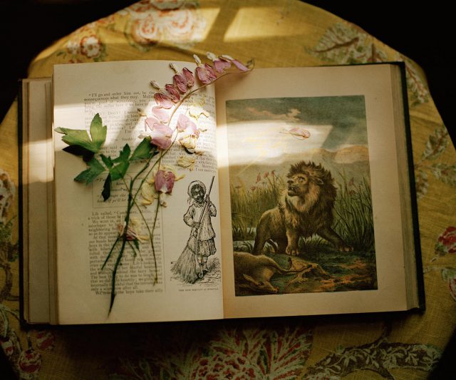 © Aaron Blum © Aaron Blum