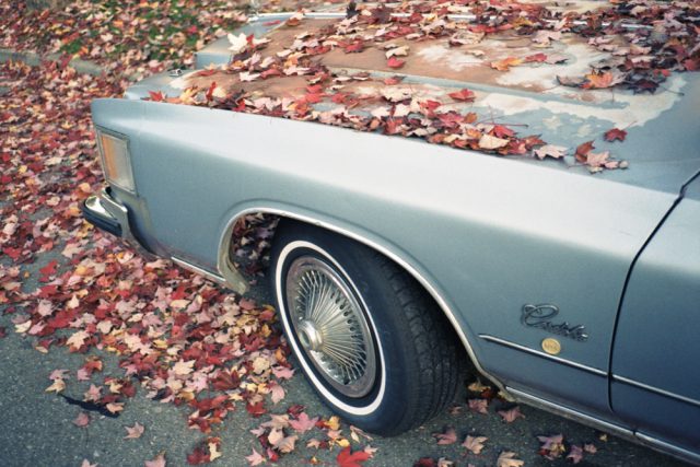 © Bryan Mollett