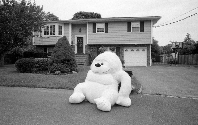 © David Carol © David Carol