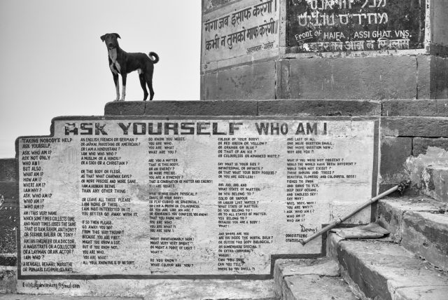 Who Am I © Craig Semetko Who Am I © Craig Semetko