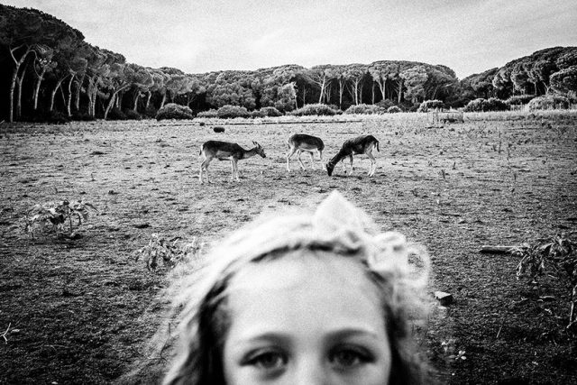 © Emilio Barillaro © Emilio Barillaro