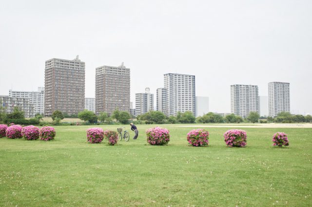 © Junya Suzuki © Junya Suzuki