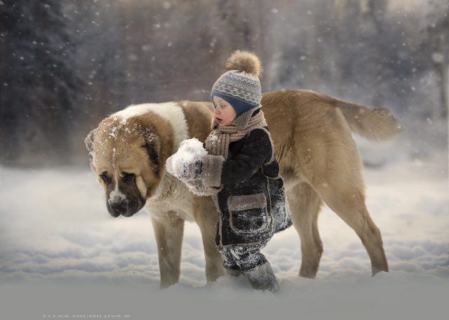 © Elena Shumilova © Elena Shumilova