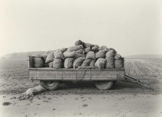 © Heinrich Riebesehl © Heinrich Riebesehl