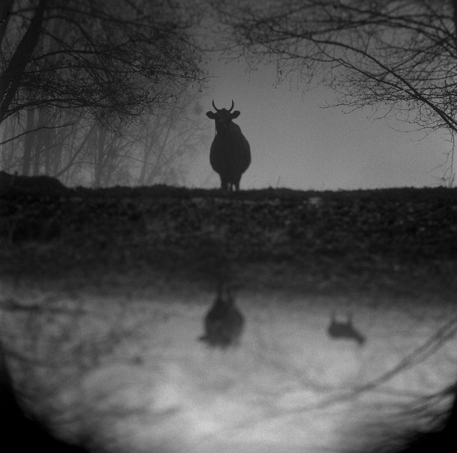 © Israel Ariño © Israel Ariño