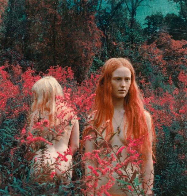 Dream © Shae DeTar