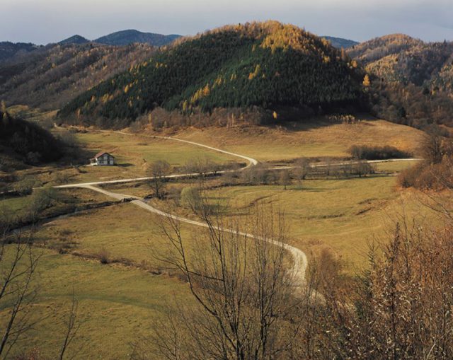 Grapevine Creek, W Virginia - Bârsa Fierului, Brașov, 2015 © Lucian Bran Grapevine Creek, W Virginia - Bârsa Fierului, Brașov, 2015 © Lucian Bran