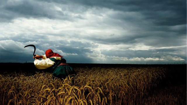 A Broken Frame © Brian Griffin A Broken Frame © Brian Griffin