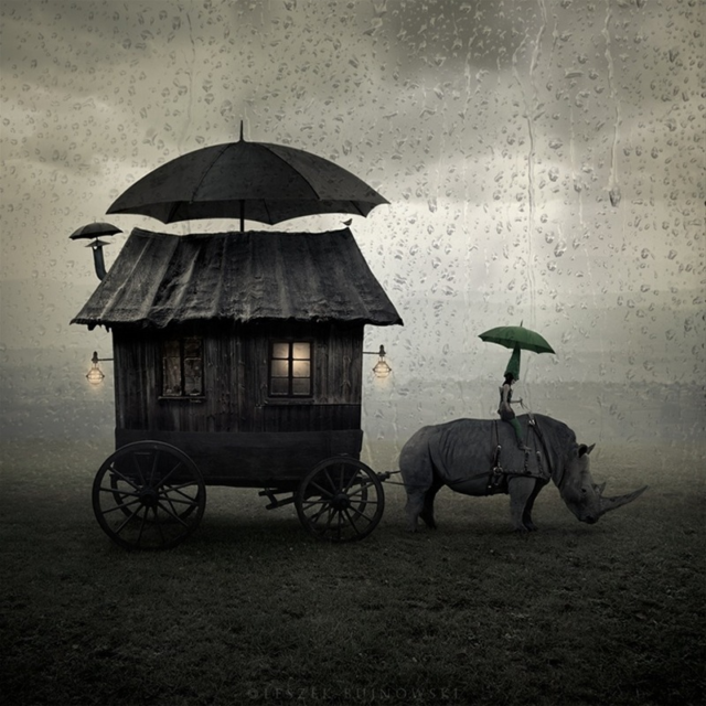 © Leszek Bujnowski © Leszek Bujnowski
