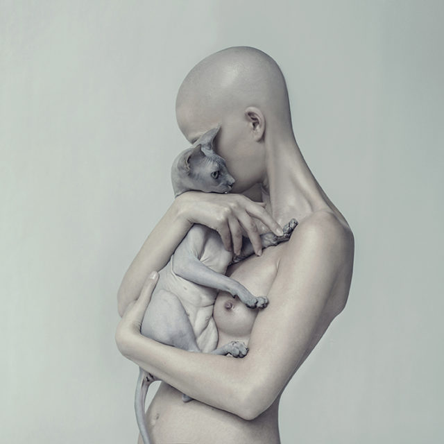 © Evelyn Bencicova © Evelyn Bencicova
