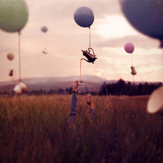 © Joel Robinson © Joel Robinson