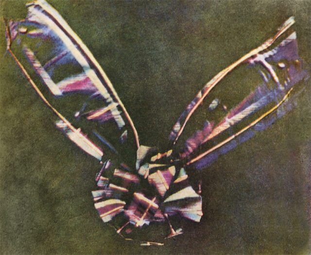 Tartan Ribbon. James Clerk Maxwell Tartan Ribbon. James Clerk Maxwell