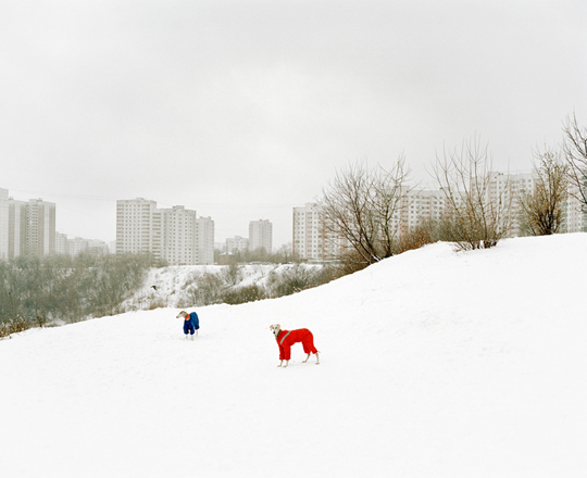 Alexander Gronsky