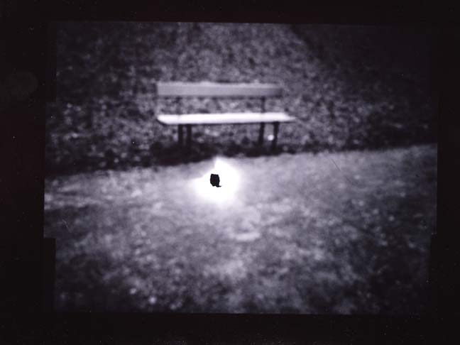 Thomas Bachler