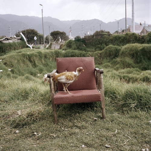 Alec Soth
