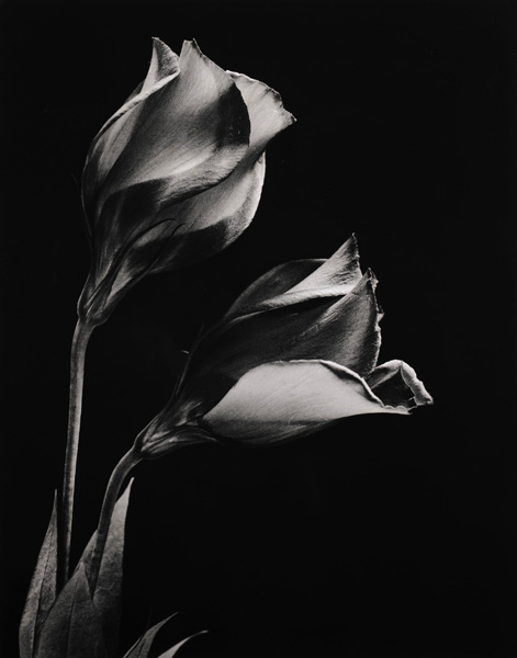 Arthur Meehan