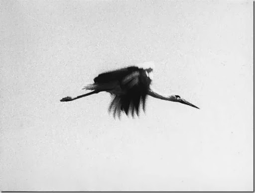 Jochen Lempert