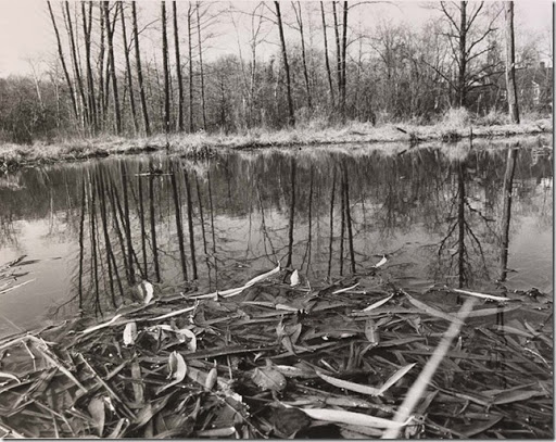 John Gossage