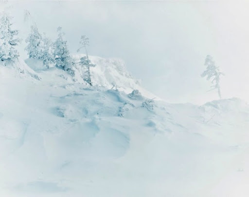 Risaku Suzuki