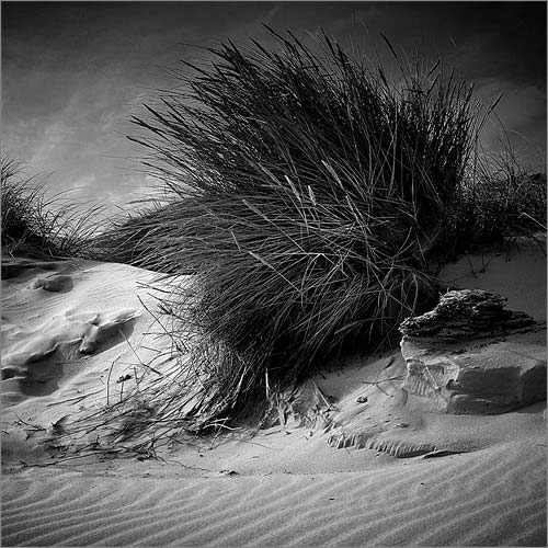 Bruno Mercier