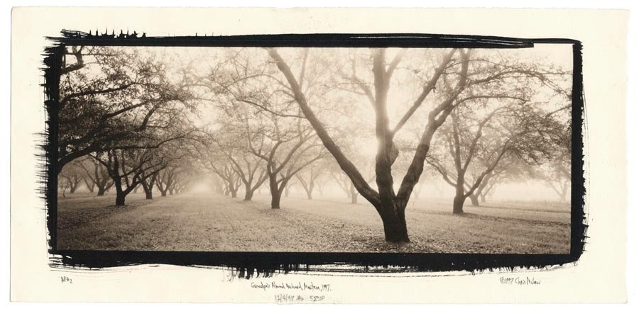 Chris McCaw